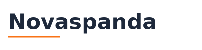 Novaspanda logo